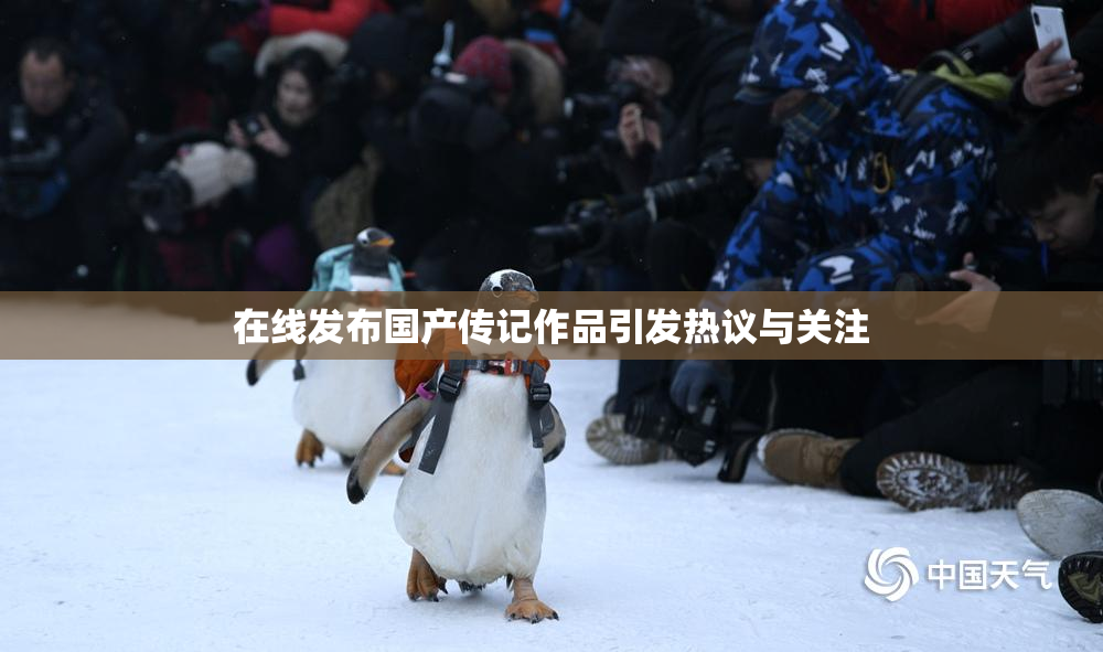 在线发布国产传记作品引发热议与关注