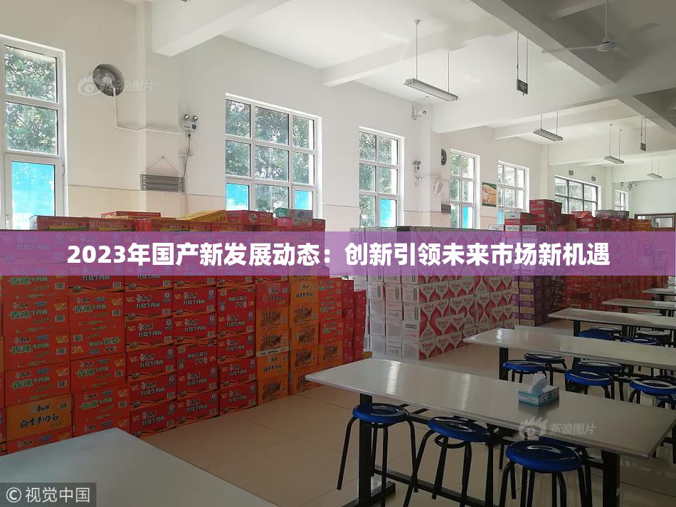 2023年国产新发展动态：创新引领未来市场新机遇