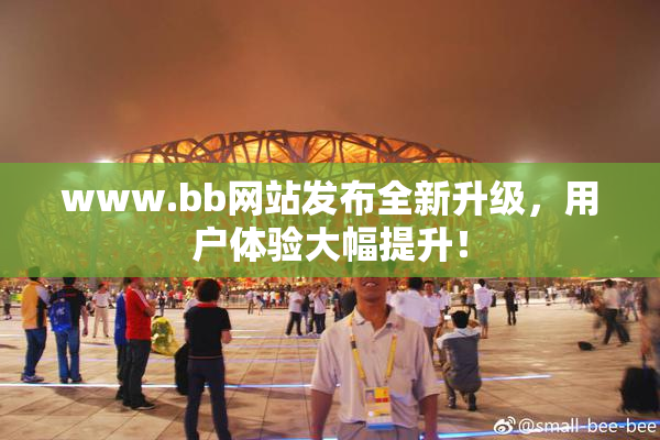 www.bb网站发布全新升级，用户体验大幅提升！