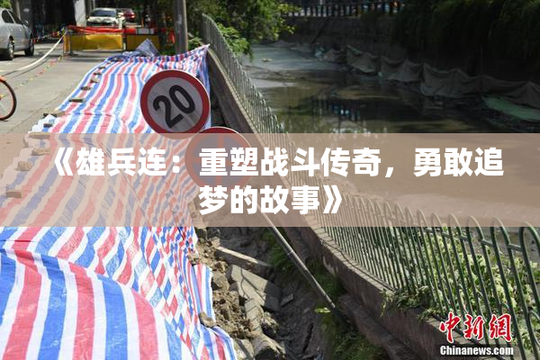 《雄兵连：重塑战斗传奇，勇敢追梦的故事》