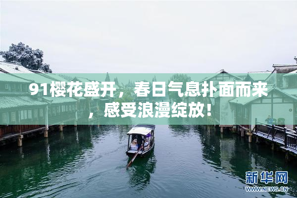 91樱花盛开，春日气息扑面而来，感受浪漫绽放！