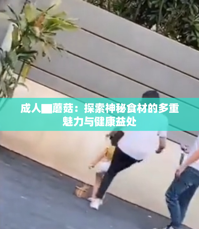 成人▇蘑菇：探索神秘食材的多重魅力与健康益处