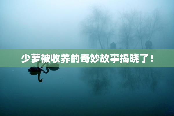 少萝被收养的奇妙故事揭晓了！