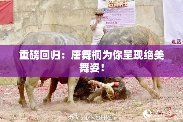 重磅回归：唐舞桐为你呈现绝美舞姿！