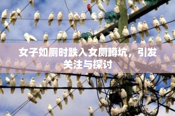女子如厕时跌入女厕蹲坑，引发关注与探讨
