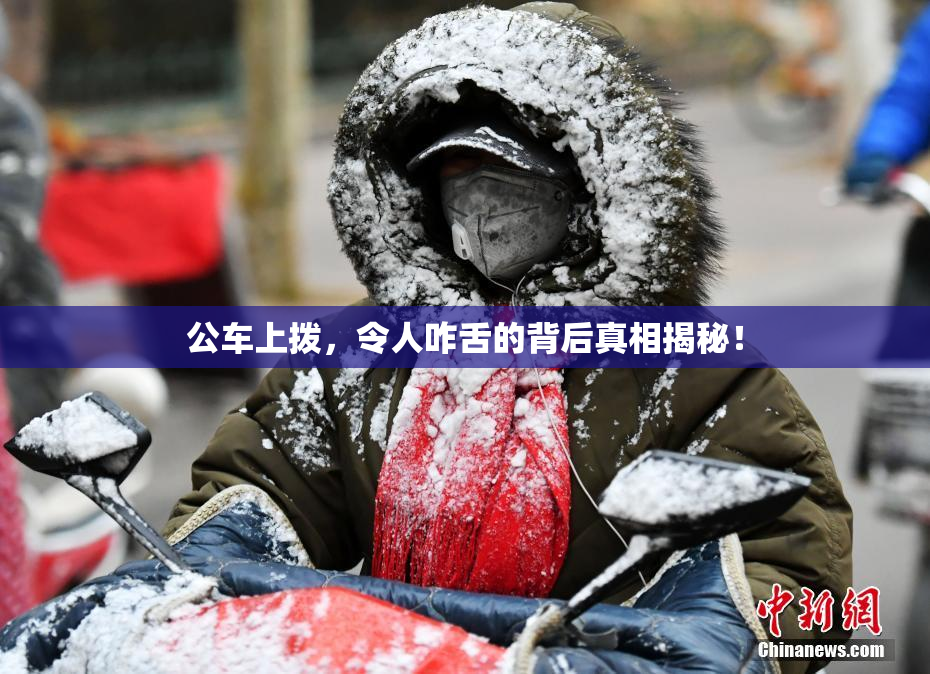 公车上拨，令人咋舌的背后真相揭秘！