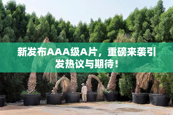 新发布AAA级A片，重磅来袭引发热议与期待！