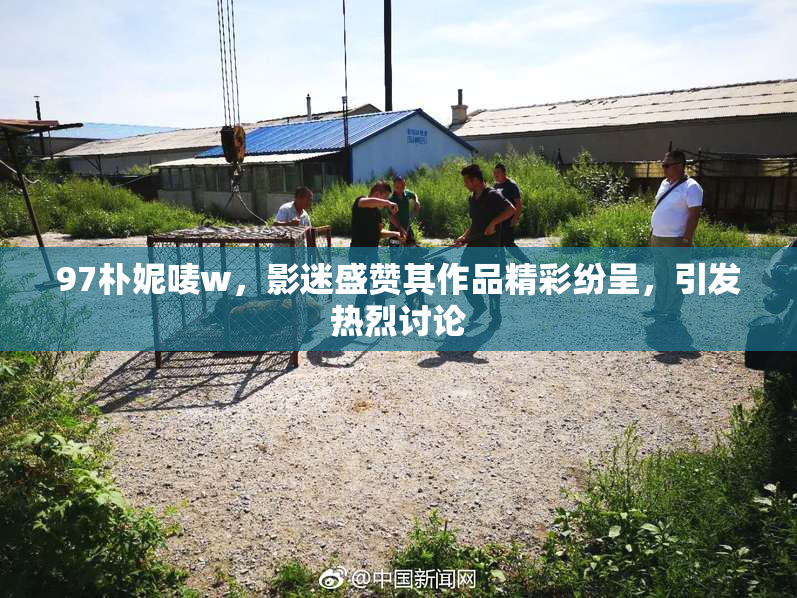 97朴妮唛w，影迷盛赞其作品精彩纷呈，引发热烈讨论