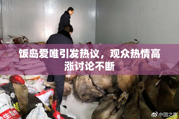 饭岛爱唯引发热议，观众热情高涨讨论不断