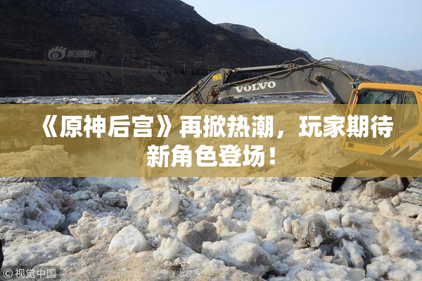 《原神后宫》再掀热潮，玩家期待新角色登场！
