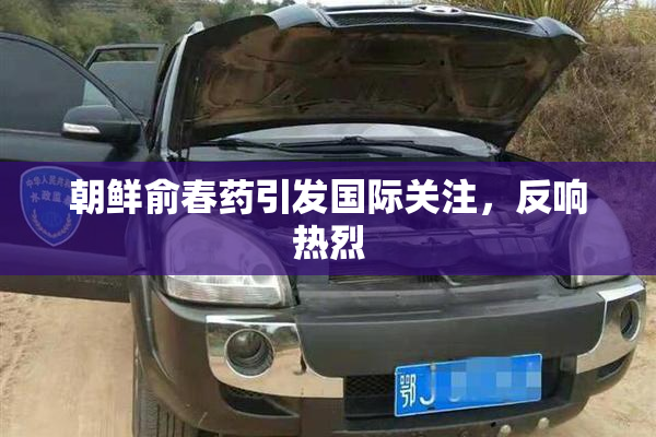 朝鲜俞春药引发国际关注，反响热烈