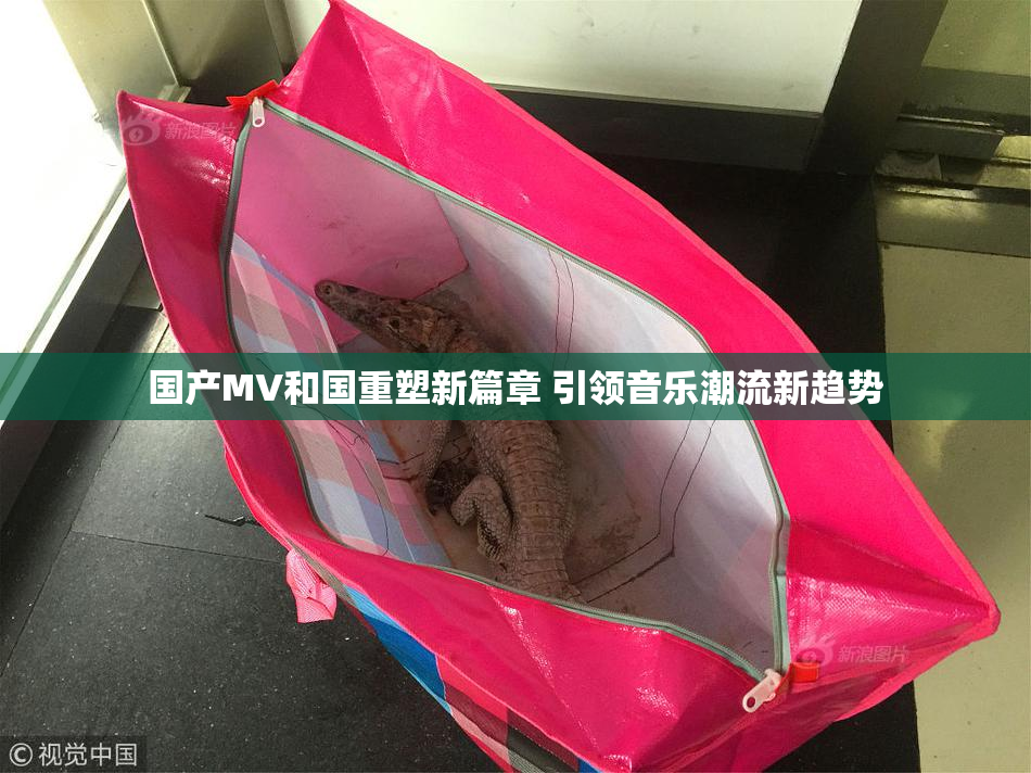 国产MV和国重塑新篇章 引领音乐潮流新趋势