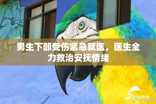 男生下部受伤紧急就医，医生全力救治安抚情绪