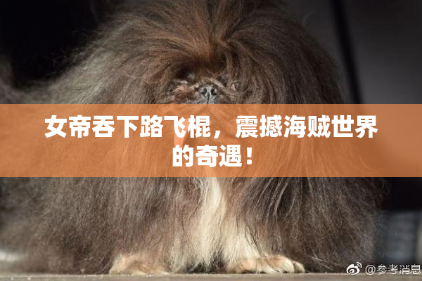 女帝吞下路飞棍，震撼海贼世界的奇遇！