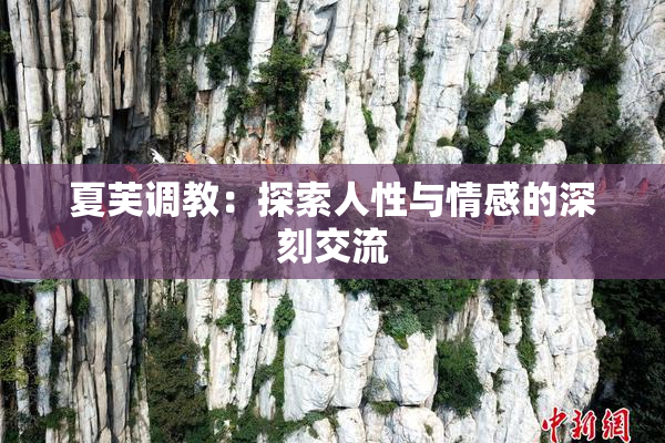 夏芙调教：探索人性与情感的深刻交流