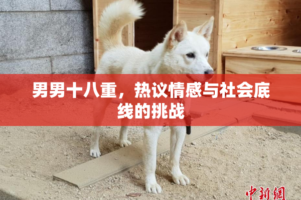 男男十八重，热议情感与社会底线的挑战