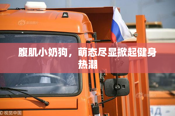 腹肌小奶狗，萌态尽显掀起健身热潮