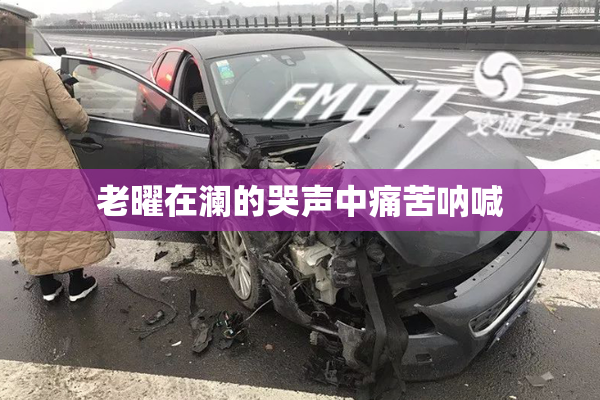 老曜在澜的哭声中痛苦呐喊