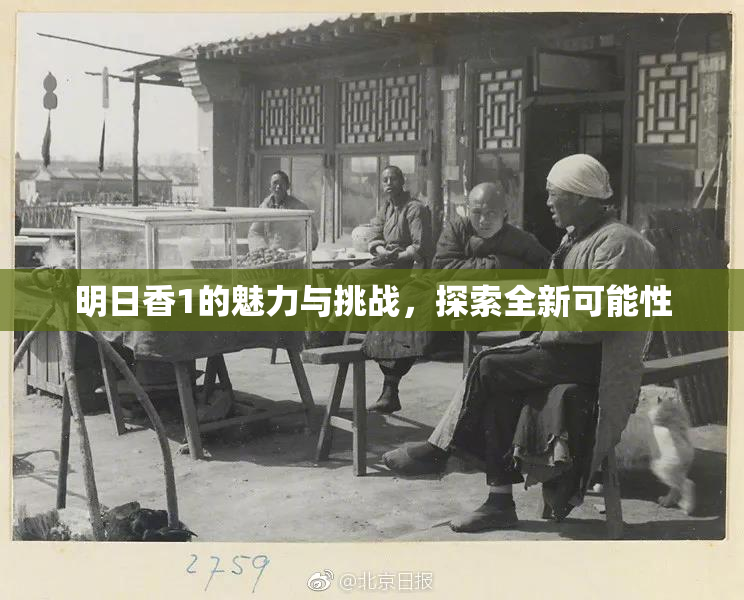 明日香1的魅力与挑战，探索全新可能性