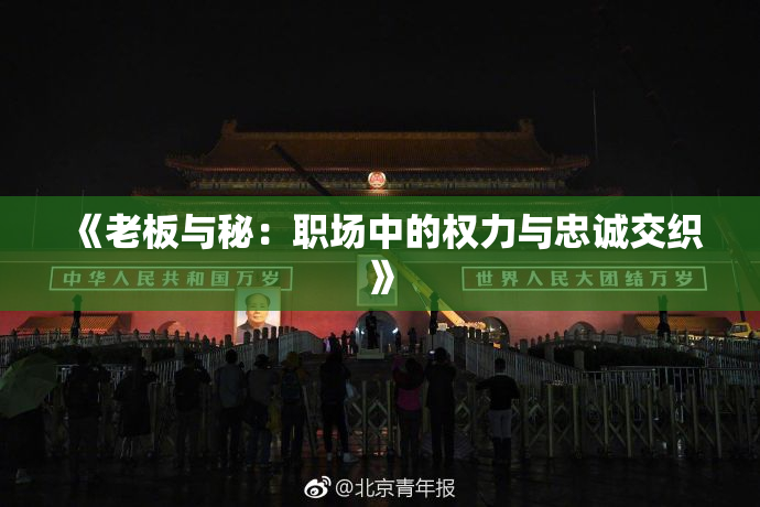 《老板与秘：职场中的权力与忠诚交织》