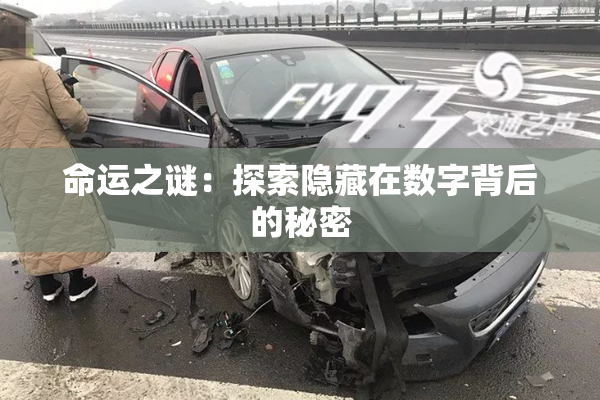 命运之谜：探索隐藏在数字背后的秘密