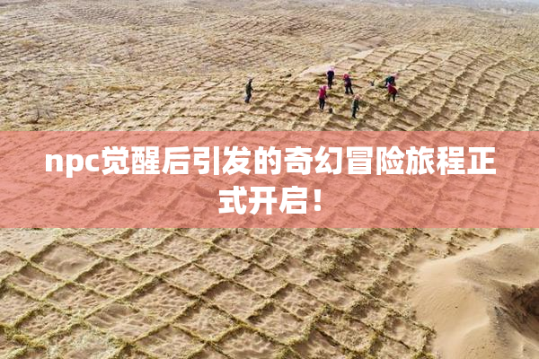 npc觉醒后引发的奇幻冒险旅程正式开启！