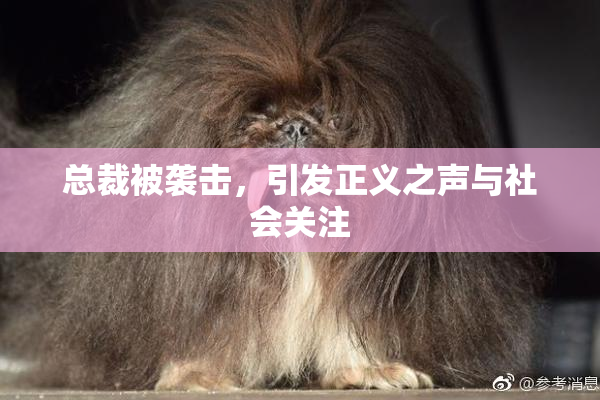 总裁被袭击，引发正义之声与社会关注