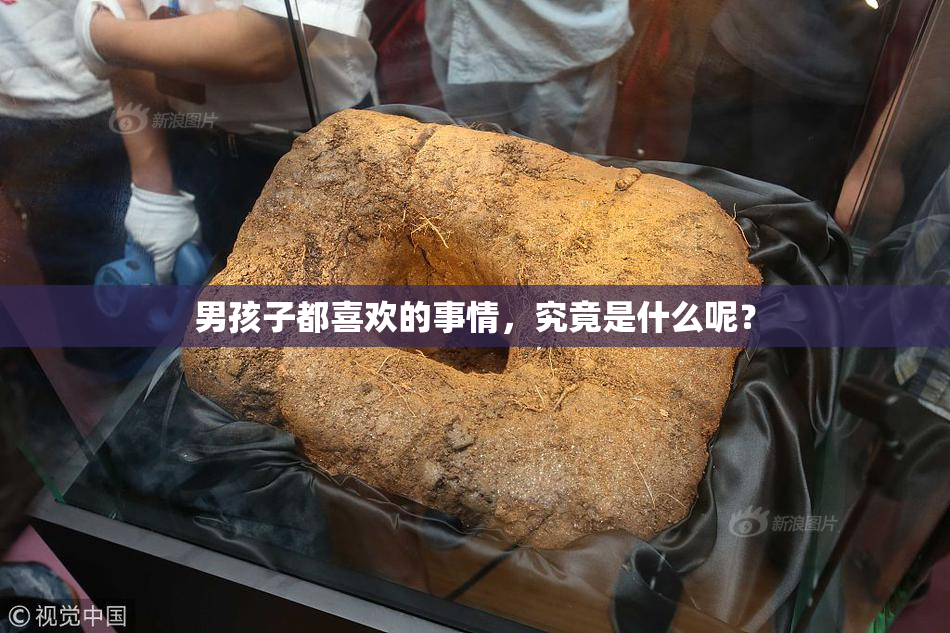 男孩子都喜欢的事情，究竟是什么呢？