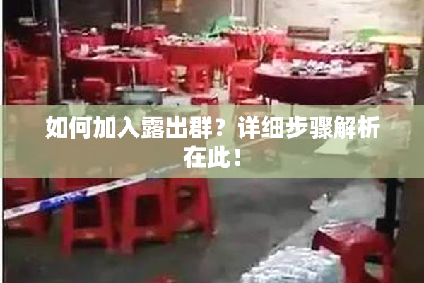 如何加入露出群？详细步骤解析在此！