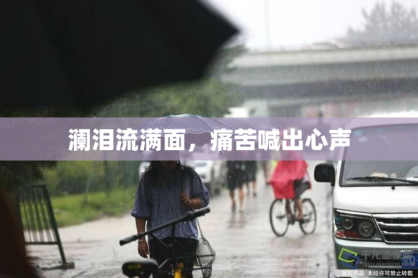 澜泪流满面，痛苦喊出心声
