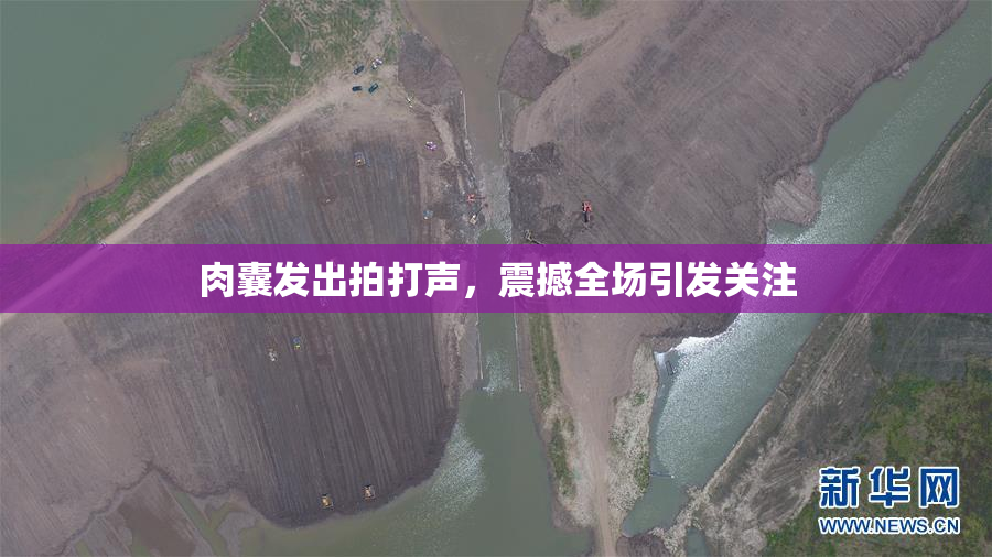肉囊发出拍打声，震撼全场引发关注