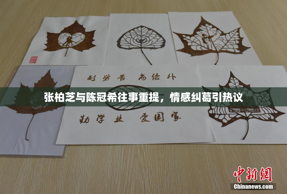 张柏芝与陈冠希往事重提，情感纠葛引热议