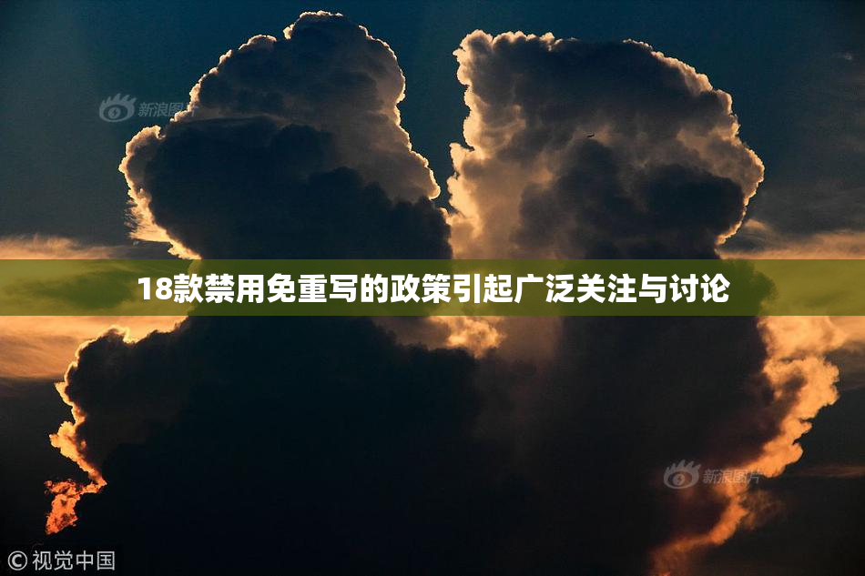 18款禁用免重写的政策引起广泛关注与讨论
