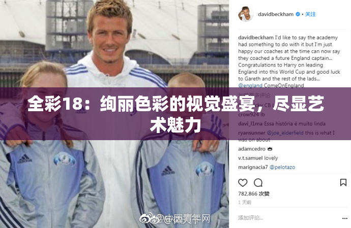 全彩18：绚丽色彩的视觉盛宴，尽显艺术魅力
