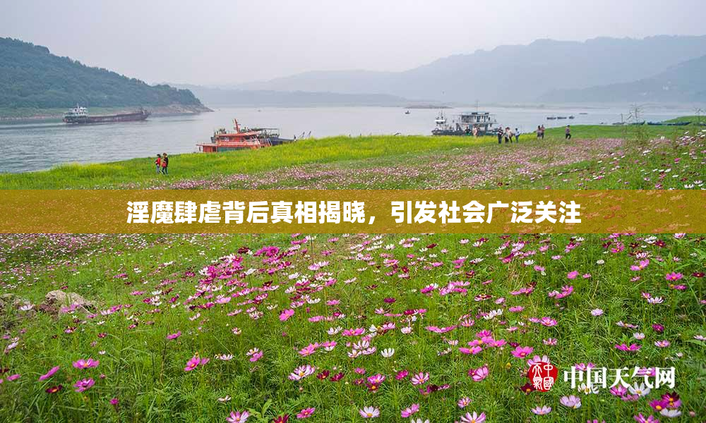 淫魔肆虐背后真相揭晓，引发社会广泛关注