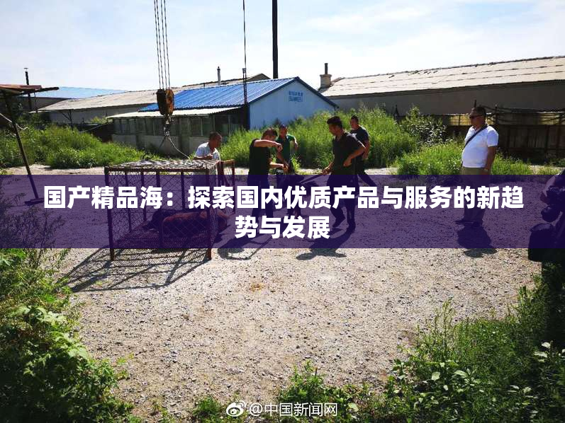 国产精品海：探索国内优质产品与服务的新趋势与发展