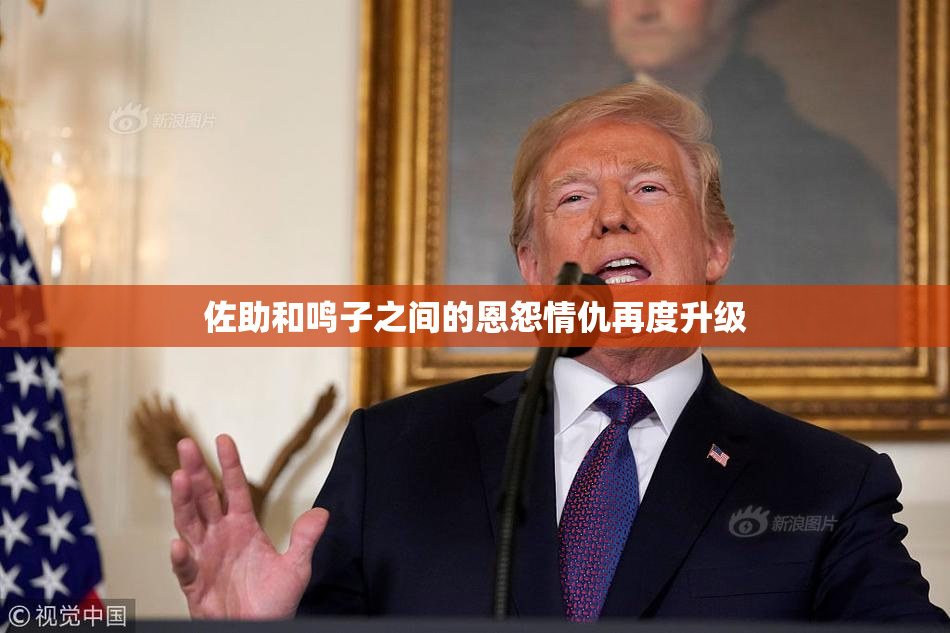佐助和鸣子之间的恩怨情仇再度升级