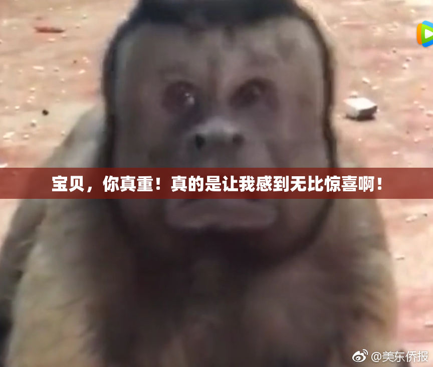 宝贝，你真重！真的是让我感到无比惊喜啊！