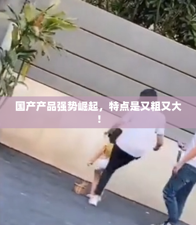 国产产品强势崛起，特点是又粗又大！