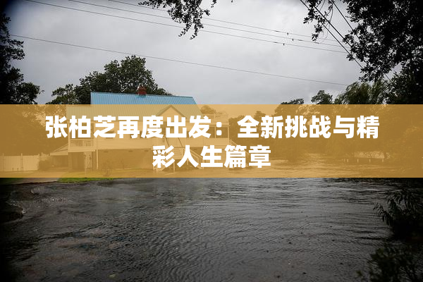 张柏芝再度出发：全新挑战与精彩人生篇章