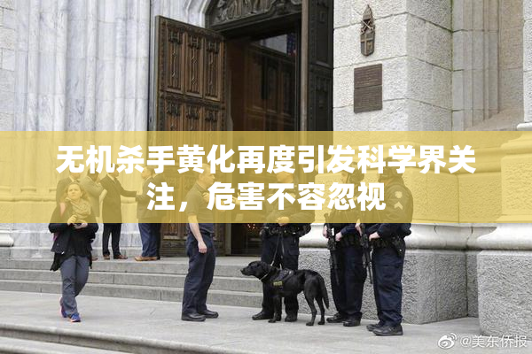 无机杀手黄化再度引发科学界关注，危害不容忽视