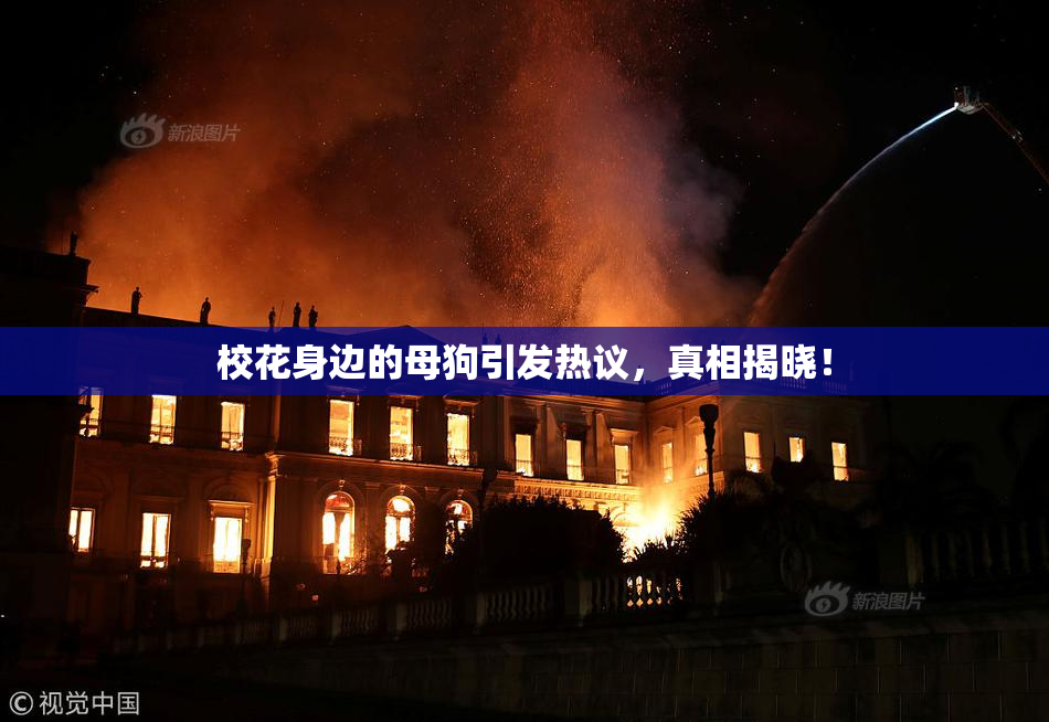 校花身边的母狗引发热议，真相揭晓！