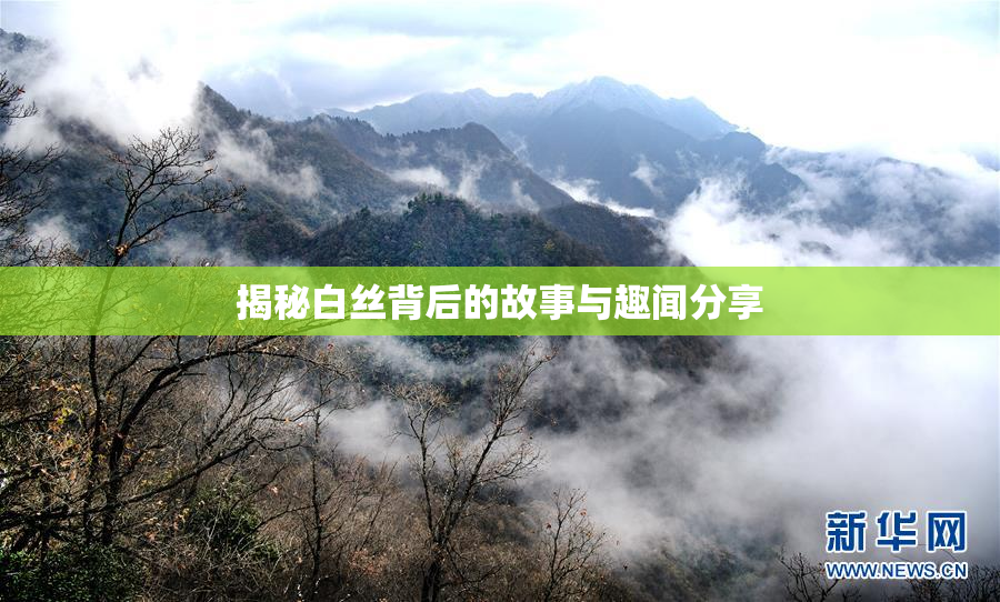 揭秘白丝背后的故事与趣闻分享