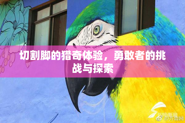切割脚的猎奇体验，勇敢者的挑战与探索