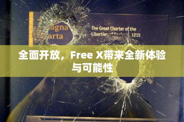 全面开放，Free X带来全新体验与可能性