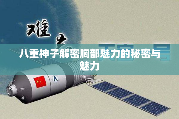 八重神子解密胸部魅力的秘密与魅力