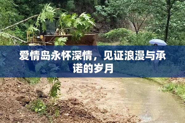 爱情岛永怀深情，见证浪漫与承诺的岁月