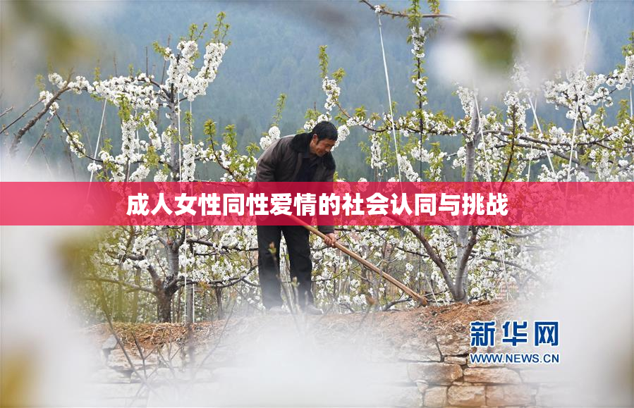 成人女性同性爱情的社会认同与挑战