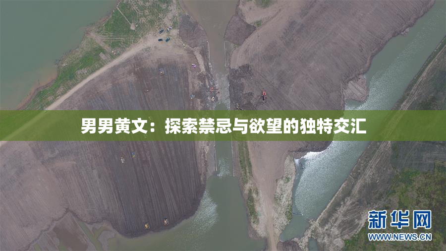 男男黄文：探索禁忌与欲望的独特交汇