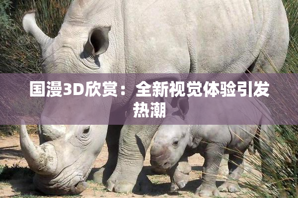 国漫3D欣赏：全新视觉体验引发热潮